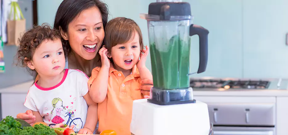 Juicer and Mixer Blender Repair in Lynn
