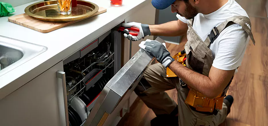 Same Day Dishwasher Not Draining Repair in Lynn