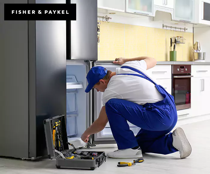 Top-Rated Fisher & Paykel Appliance Experts: Your Brand Specialist in Lynn, MA